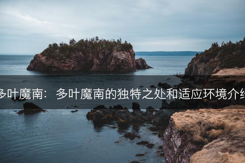 多叶魔南：多叶魔南的独特之处和适应环境介绍(图1)