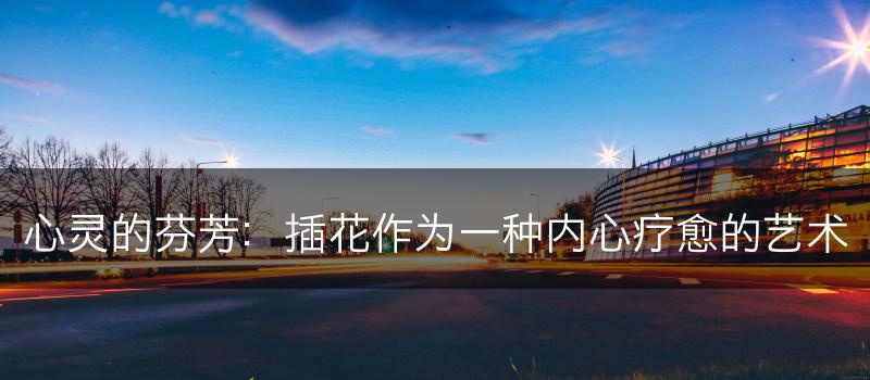 心灵的芬芳：插花作为一种内心疗愈的艺术(图1)