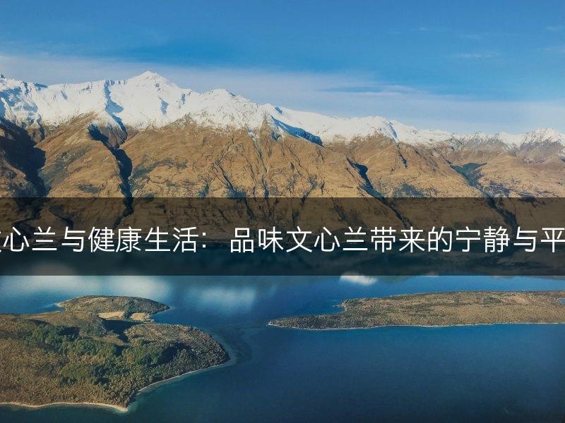 文心兰与健康生活：品味文心兰带来的宁静与平和(图1)