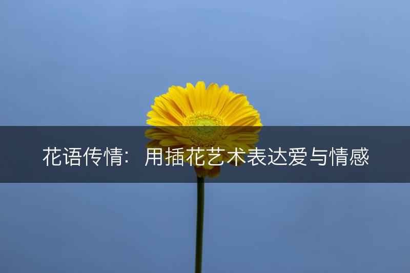 花语传情：用插花艺术表达爱与情感(图1)