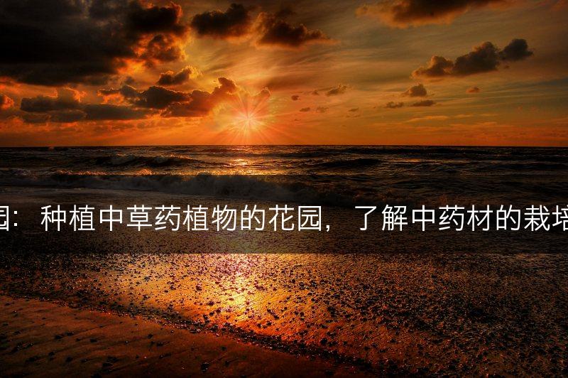 中药花园：种植中草药植物的花园，了解中药材的栽培和应用。(图1)