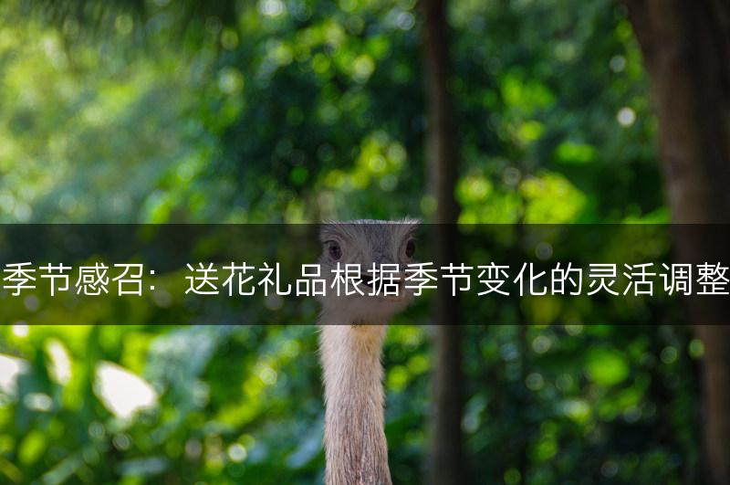 季节感召：送花礼品根据季节变化的灵活调整(图1)