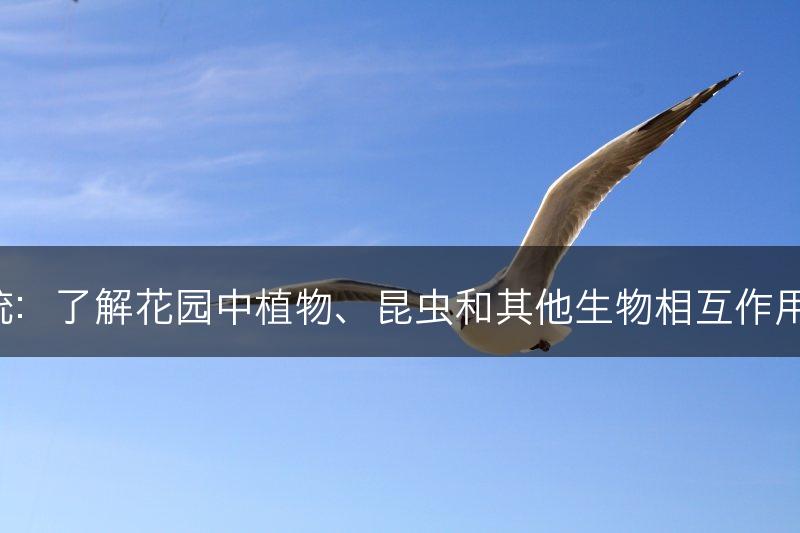 花园生态系统：了解花园中植物、昆虫和其他生物相互作用的生态系统。(图1)