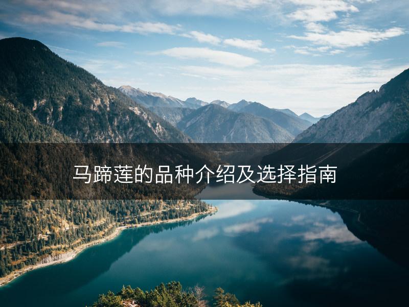 马蹄莲的品种介绍及选择指南(图1)