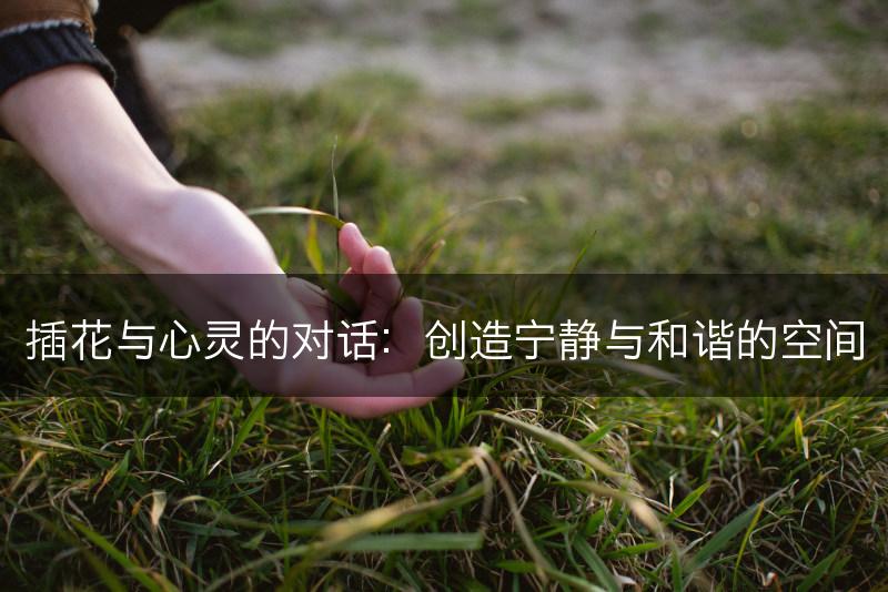 插花与心灵的对话：创造宁静与和谐的空间(图1)