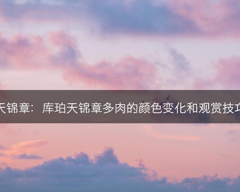 库珀天锦章：库珀天锦章多肉的颜色变化和观赏技巧解读(图1)