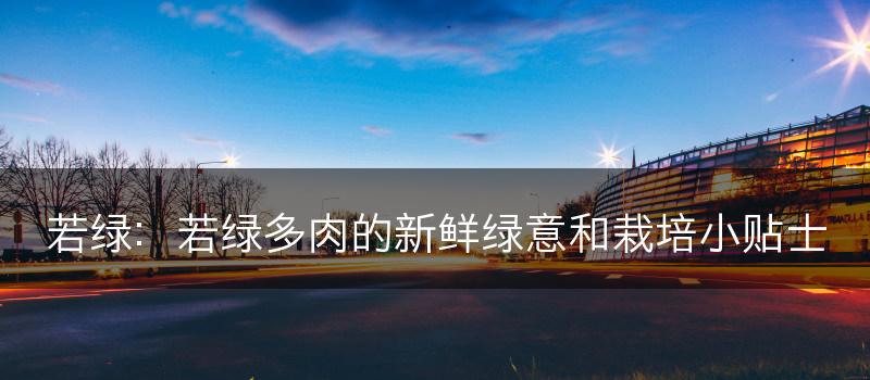 若绿：若绿多肉的新鲜绿意和栽培小贴士(图1)