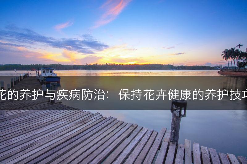 花的养护与疾病防治:保持花卉健康的养护技巧(图1) 花的养护与疾病防治:保持花卉健康的养护技巧(图1)