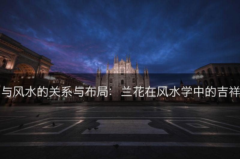 兰科植物与风水的关系与布局：兰花在风水学中的吉祥象征意义(图1)