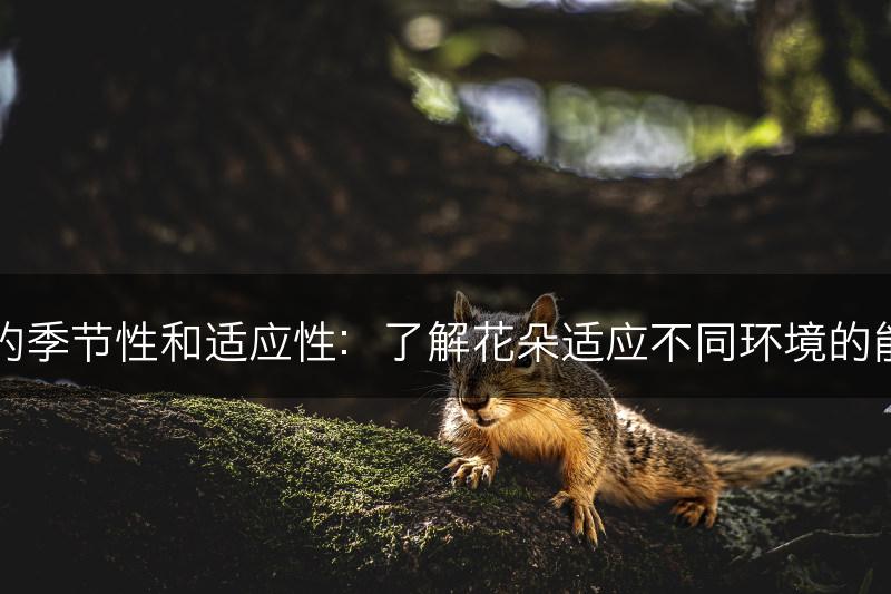 花的季节性和适应性：了解花朵适应不同环境的能力(图1)