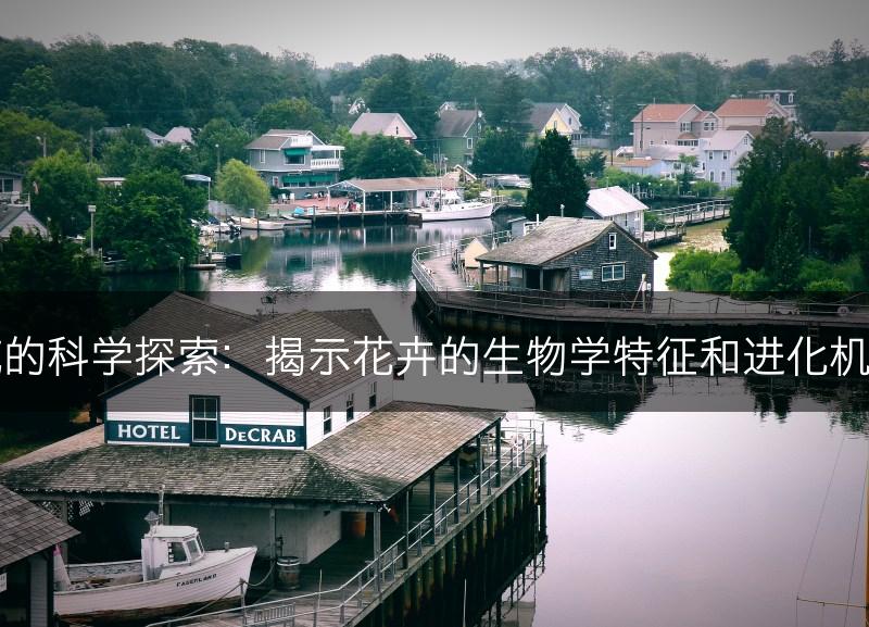 花的科学探索:揭示花卉的生物学特征和进化机制(图1) 花的科学探索:揭示花卉的生物学特征和进化机制(图1)