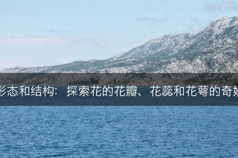 花的形态和结构：探索花的花瓣、花蕊和花萼的奇妙之美(图1)