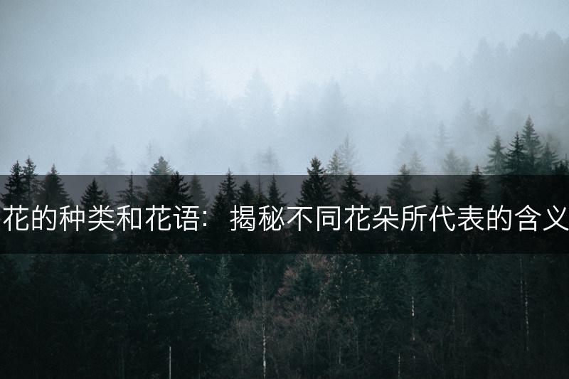 花的种类和花语：揭秘不同花朵所代表的含义(图1)