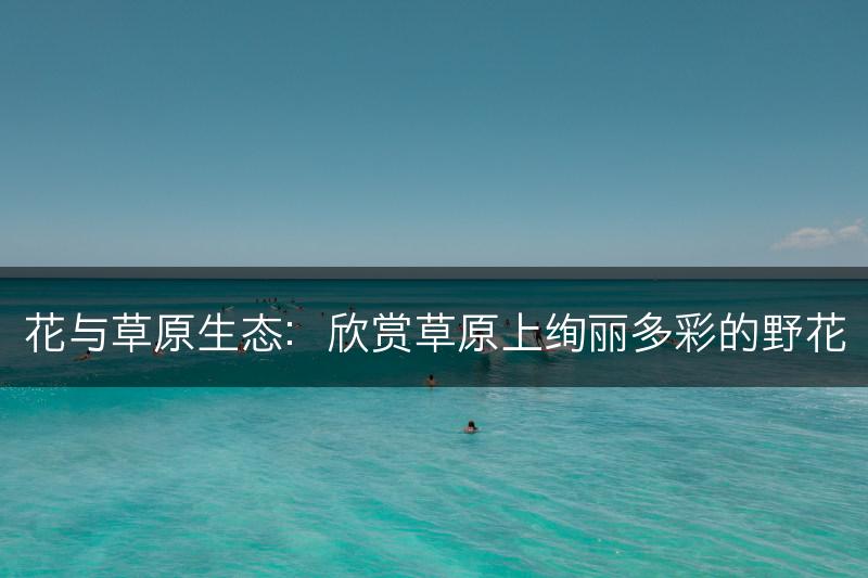 花与草原生态:欣赏草原上绚丽多彩的野花(图1) 花与草原生态:欣赏草原上绚丽多彩的野花(图1)