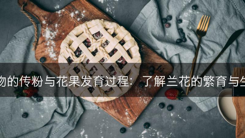 兰科植物的传粉与花果发育过程：了解兰花的繁育与生殖方式(图1)