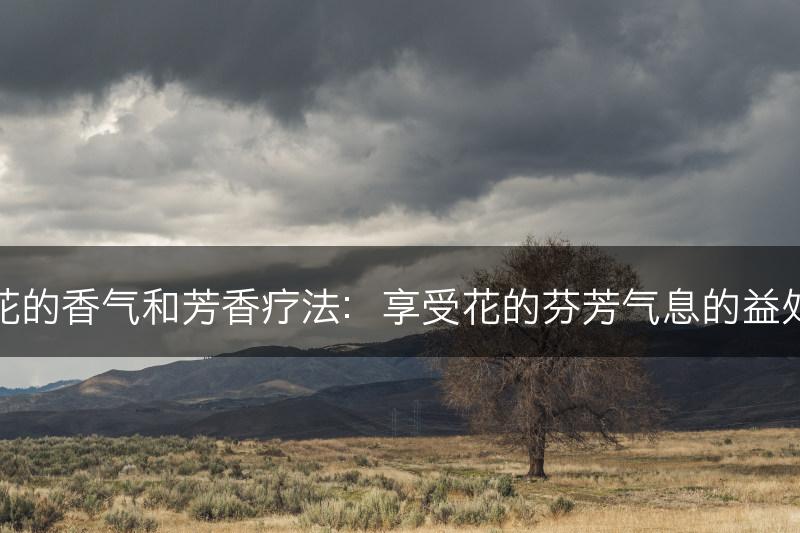 花的香气和芳香疗法：享受花的芬芳气息的益处(图1)