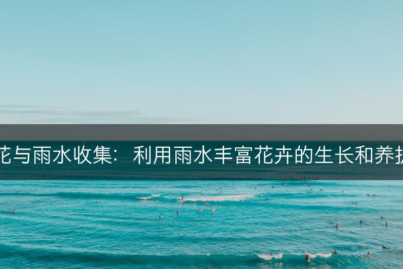 花与雨水收集:利用雨水丰富花卉的生长和养护(图1) 花与雨水收集:利用雨水丰富花卉的生长和养护(图1)