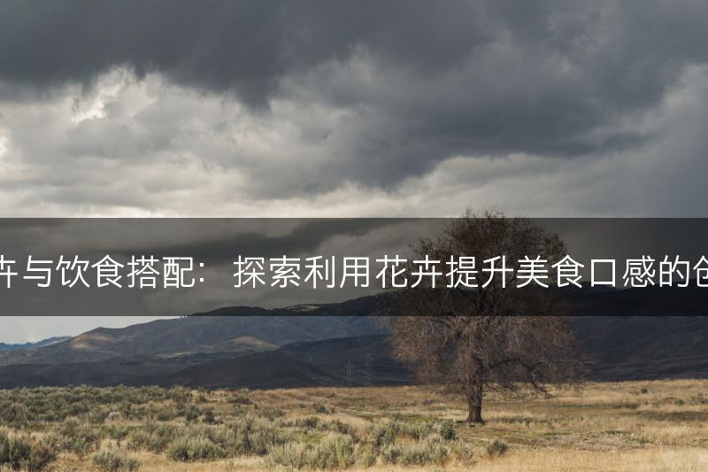 花卉与饮食搭配:探索利用花卉提升美食口感的创意(图1) 花卉与饮食搭配:探索利用花卉提升美食口感的创意(图1)