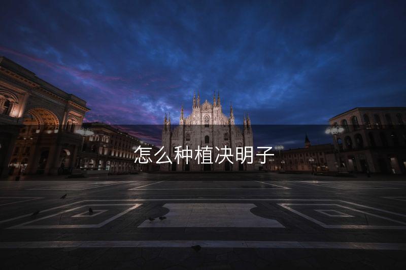 怎么种植决明子(图1)