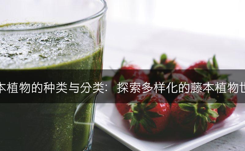 藤本植物的种类与分类：探索多样化的藤本植物世界(图1)