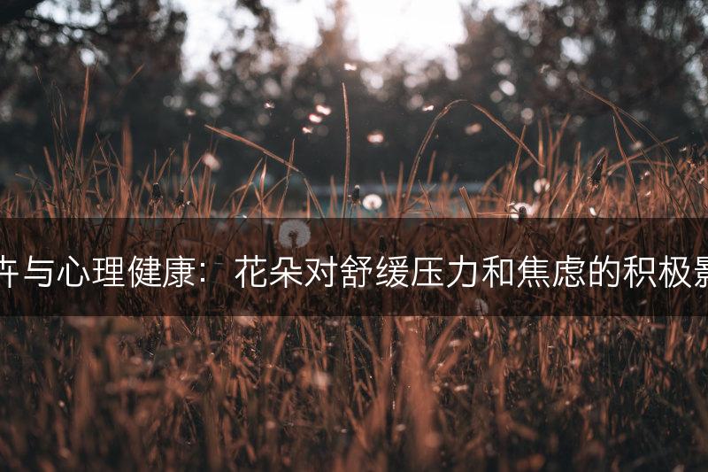 花卉与心理健康:花朵对舒缓压力和焦虑的积极影响(图1) 花卉与心理健康:花朵对舒缓压力和焦虑的积极影响(图1)
