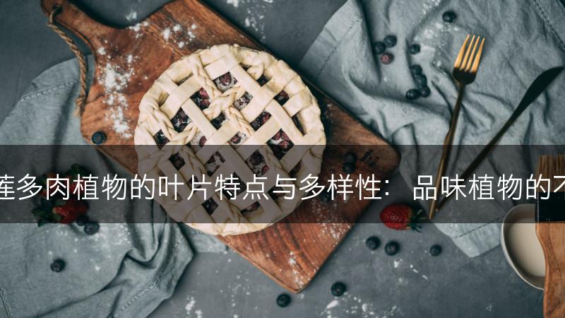 云南石莲多肉植物的叶片特点与多样性：品味植物的不同之美(图1)