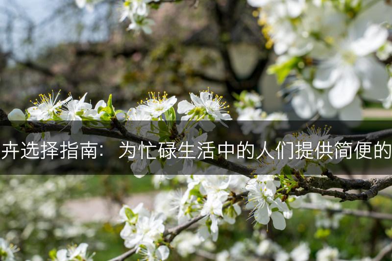 低维护花卉选择指南:为忙碌生活中的人们提供简便的养护建议(图1) 低维护花卉选择指南:为忙碌生活中的人们提供简便的养护建议(图1)