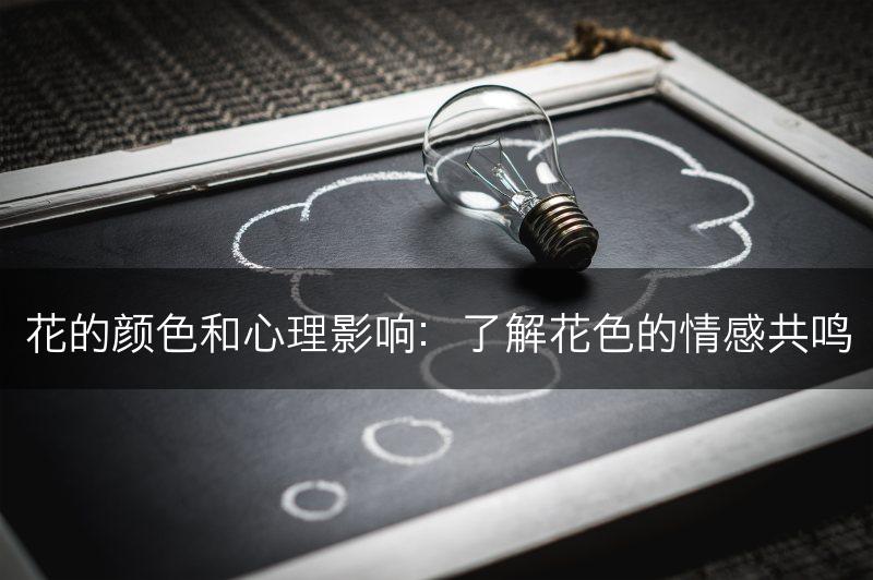 花的颜色和心理影响：了解花色的情感共鸣(图1)