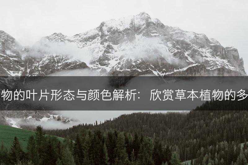 草本植物的叶片形态与颜色解析：欣赏草本植物的多彩之美(图1)
