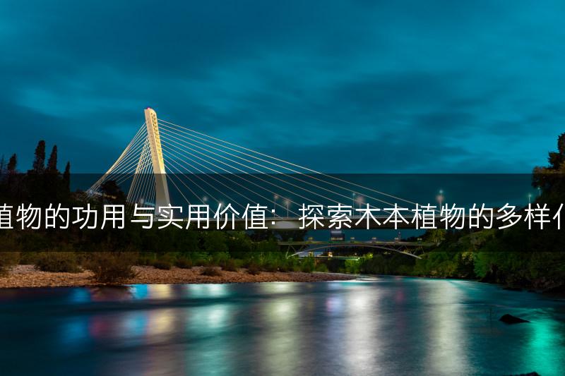 木本植物的功用与实用价值：探索木本植物的多样化用途(图1)