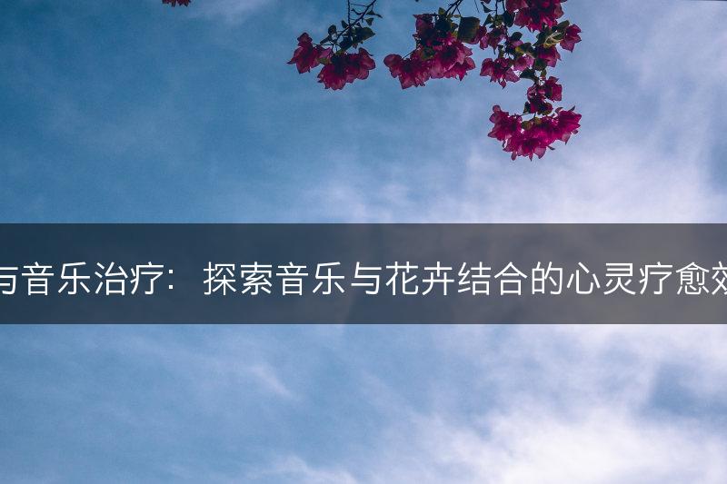 花与音乐治疗：探索音乐与花卉结合的心灵疗愈效果(图1)