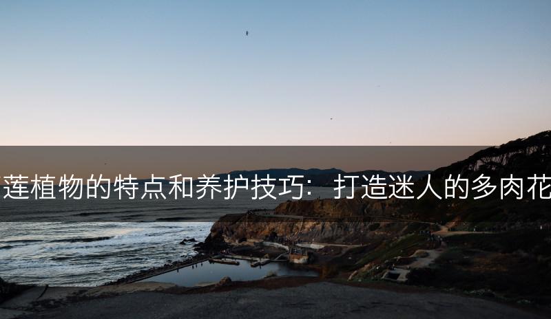 石莲植物的特点和养护技巧：打造迷人的多肉花园(图1)