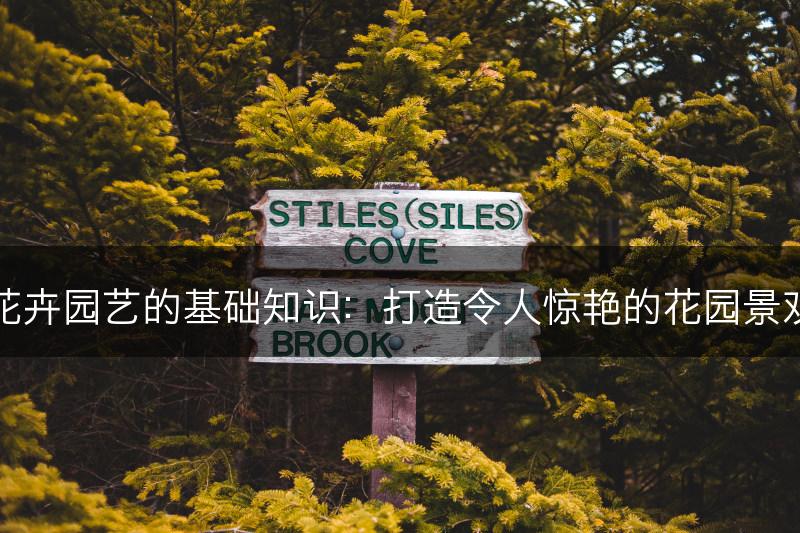 花卉园艺的基础知识：打造令人惊艳的花园景观(图1)