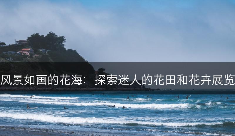 风景如画的花海：探索迷人的花田和花卉展览(图1)
