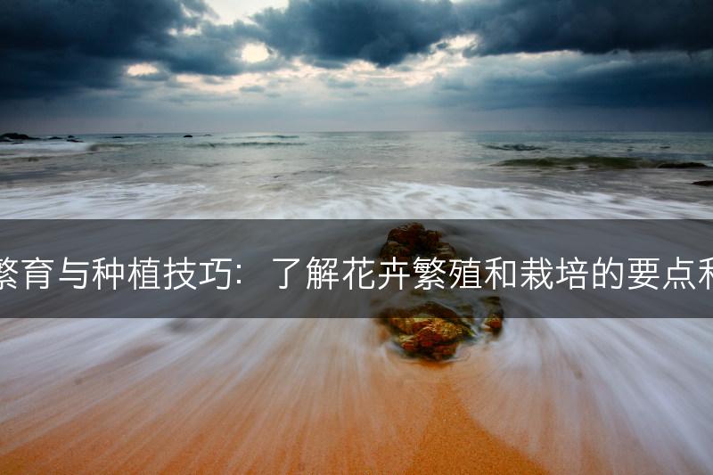 花的繁育与种植技巧:了解花卉繁殖和栽培的要点和方法(图1) 花的繁育与种植技巧:了解花卉繁殖和栽培的要点和方法(图1)