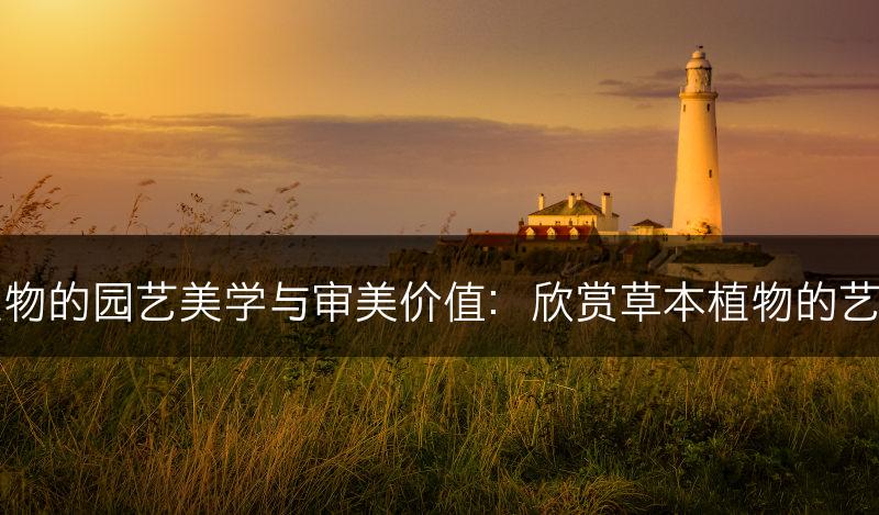 草本植物的园艺美学与审美价值：欣赏草本植物的艺术魅力(图1)