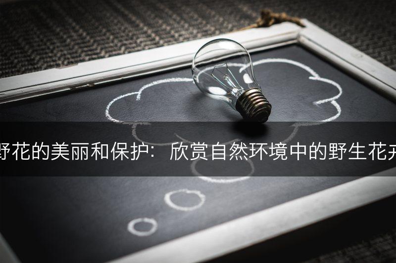 野花的美丽和保护:欣赏自然环境中的野生花卉(图1) 野花的美丽和保护:欣赏自然环境中的野生花卉(图1)