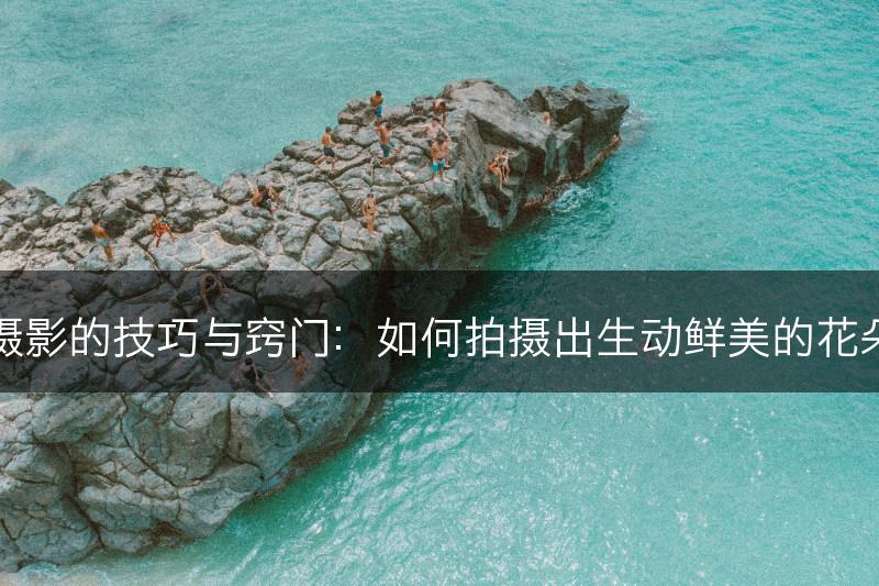 花卉摄影的技巧与窍门:如何拍摄出生动鲜美的花朵照片(图1) 花卉摄影的技巧与窍门:如何拍摄出生动鲜美的花朵照片(图1)