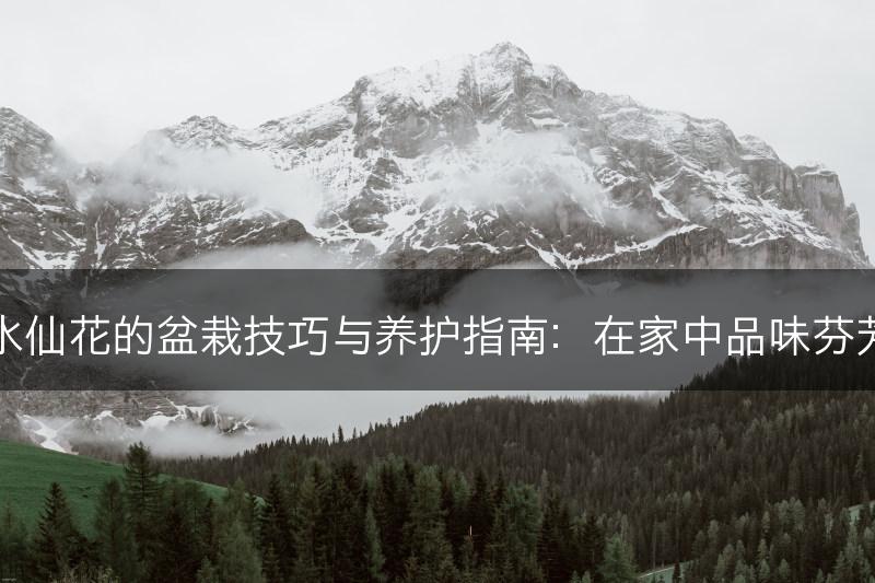 水仙花的盆栽技巧与养护指南：在家中品味芬芳(图1)