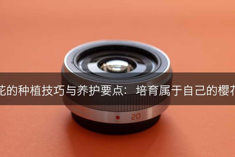 樱花的种植技巧与养护要点：培育属于自己的樱花树(图1)
