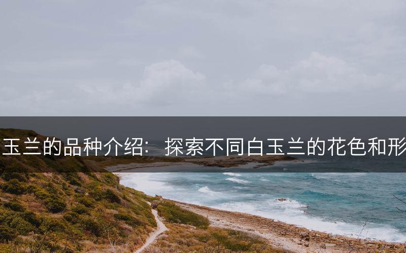 白玉兰的品种介绍：探索不同白玉兰的花色和形态(图1)