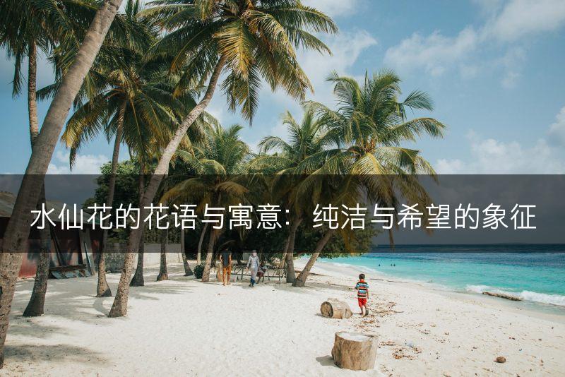 水仙花的花语与寓意：纯洁与希望的象征(图1)