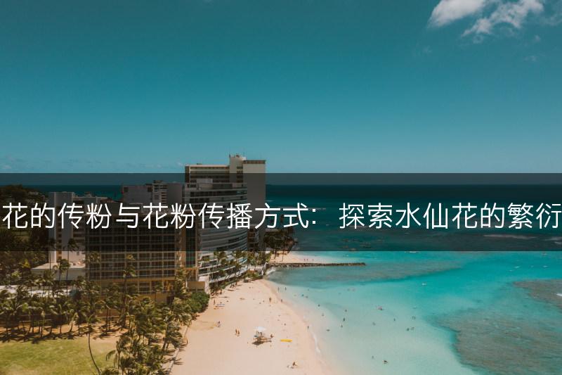 水仙花的传粉与花粉传播方式：探索水仙花的繁衍之道(图1)