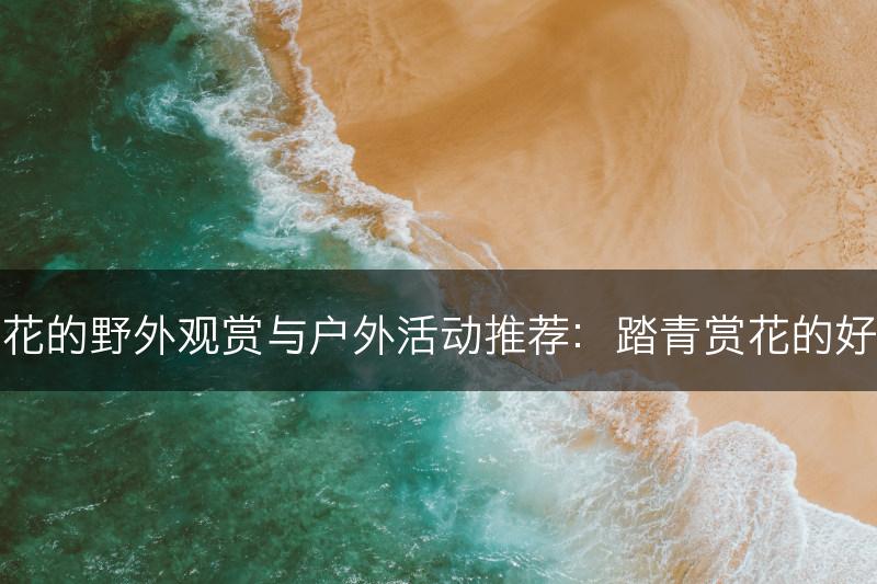 牵牛花的野外观赏与户外活动推荐：踏青赏花的好去处(图1)