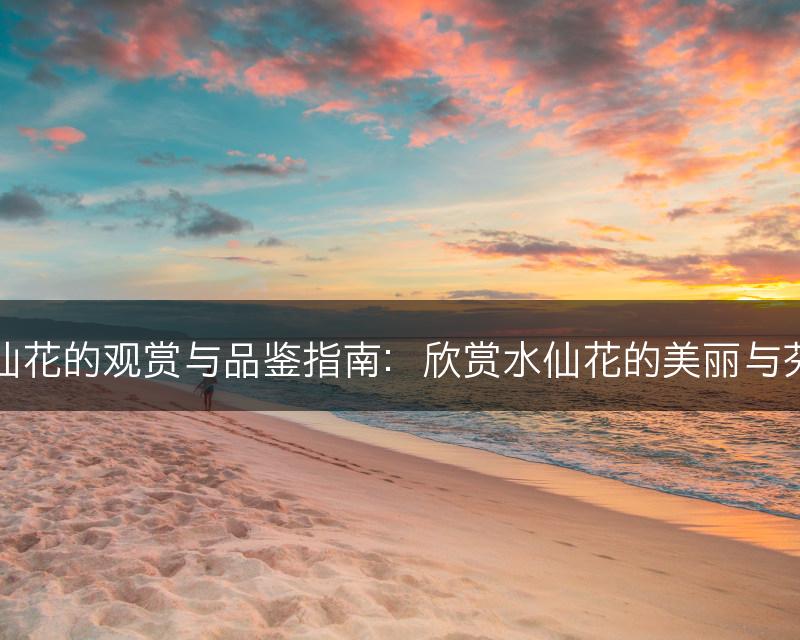 水仙花的观赏与品鉴指南：欣赏水仙花的美丽与芬芳(图1)