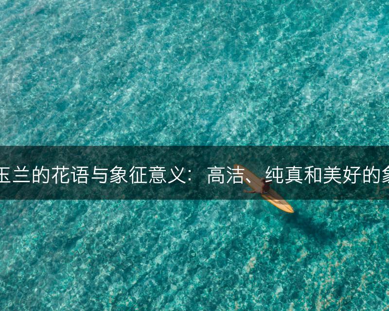 白玉兰的花语与象征意义：高洁、纯真和美好的象征(图1)
