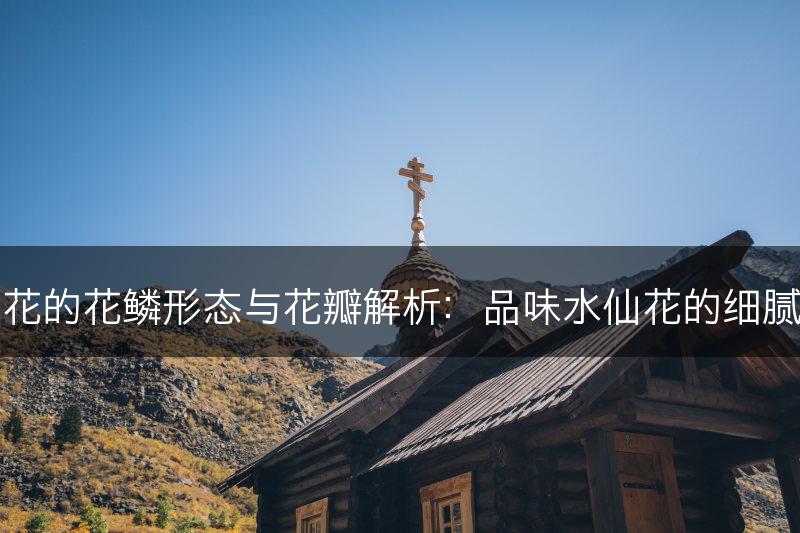 水仙花的花鳞形态与花瓣解析：品味水仙花的细腻之美(图1)