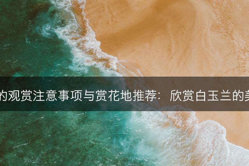 白玉兰的观赏注意事项与赏花地推荐：欣赏白玉兰的美丽时刻(图1)
