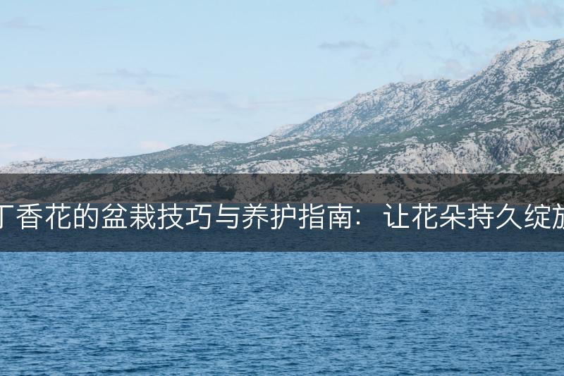 丁香花的盆栽技巧与养护指南：让花朵持久绽放(图1)