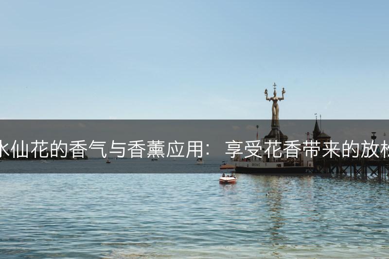 水仙花的香气与香薰应用：享受花香带来的放松(图1)